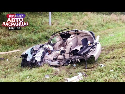 Видео: ДТП. АвтоЗасранцы Торопыги и Водятлы Сентябрь