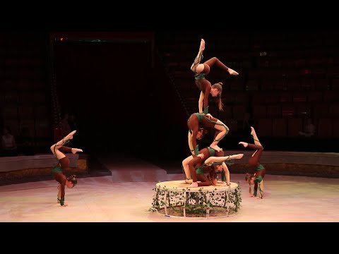 Видео: Студия циркового искусства "Эквилибриум" (г. Барнаул) - "Дерево голосов"