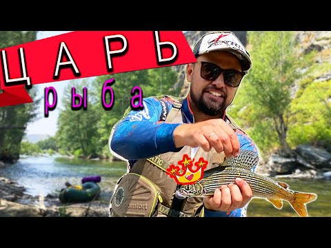 Видео: Рыбалка 🎣 Сплав по горной реке! Часть II . Не много спиннинга.