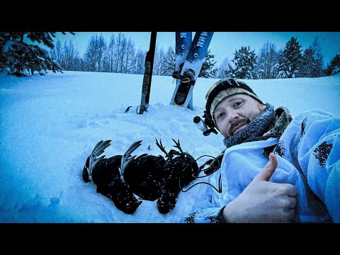 Видео: ОХОТА НА ТЕТЕРЕВА НА ЛУНКАХ!!! ПТИЦА ВЫЛЕТАЛА ПРЯМО ИЗ ПОД НОГ!!! #охотанатетерева #hunt