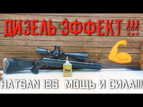 Видео: Дизель эффект Hatsan 125 TH ЭТО МОЩЬ И СИЛА!!! #дизельэффект #hatsan125