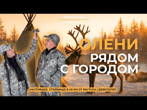 Видео: ОЛЕНИ РЯДОМ С ГОРОДОМ — КЕМПИНГ "СИЛА РОДА" . Интервью с Раисой Ильиновой | ДЕВЕЛОПЕР