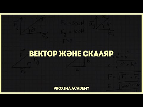 Видео: ВЕКТОР ЖӘНЕ СКАЛЯР | ФИЗИКА ТОЛЫҚ КУРС [1]