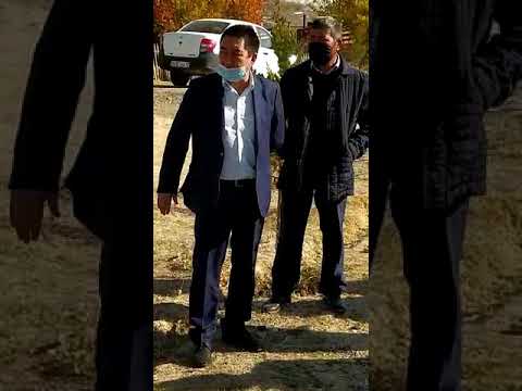 Видео: Қазығұрт ауданы Қарабау ауыл әкімі алдындағы халықтың жан айқайы.