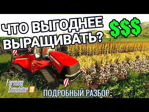 Видео: Что выгоднее всего выращивать | Подробный разбор | Farming Simulator 19