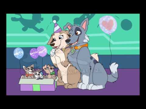 Видео: Самое романтическое видео о Рокки и Тундре!