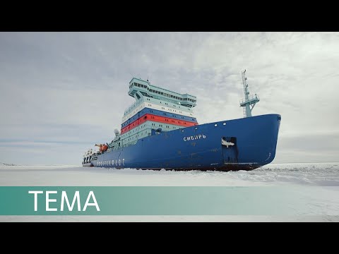 Видео: Сибирский характер. Новейший атомный ледокол проводит суда в Арктике