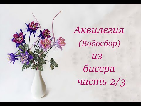 Видео: АКВИЛЕГИЯ из БИСЕРА - мастер класс, урок 2/3