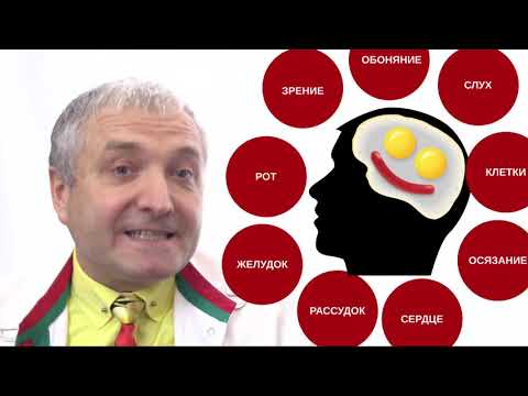 Видео: 9 видов насыщения☝️ Как быть быть сытым на диете