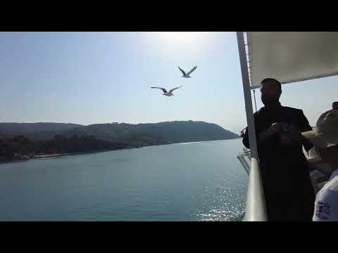 Видео: Путешествие на Афон / Первый день на Афоне