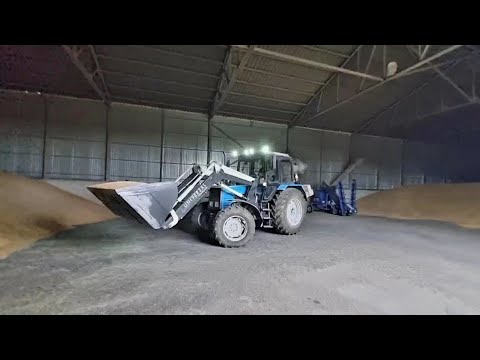 Видео: Продажа урожая пшеницы.