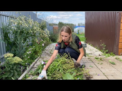 Видео: Уборка территории . Порядок во дворе и клумбе. cleaning motivation. Vlog 