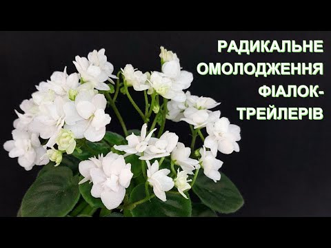 Видео: РАДИКАЛЬНЕ ОМОЛОДЖЕННЯ ТРЕЙЛЕРІВ