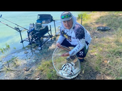 Видео: Фідерна рибалка на Ладижинському водосховищі. Плітка клює в 'тархуні' як з кулемета!