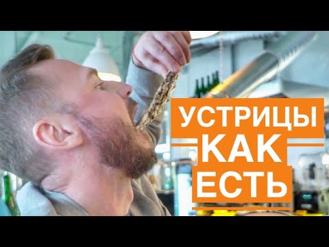 Видео: Устрицы:  как есть, сколько стоят, виды, обзор.