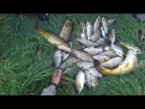 Видео: ХЕРАБУНА -  へら-Часть-3