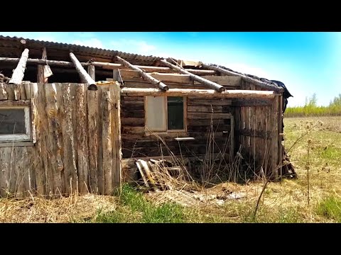 Видео: НАШЁЛ ЗАБРОШЕННУЮ ФЕРМУ ГЛУБОКО В ЛЕСУ! ‎ПОВЕЗЛО!!!МЕТАЛЛОКОП!@Leshii_in_fact 