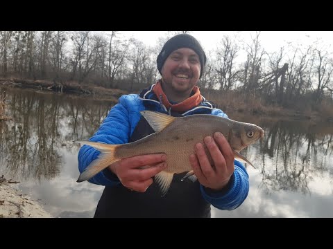 Видео: Фидер. Река. Ранняя весна. Лещ. Северский Донец,пос. Черемушное 2021