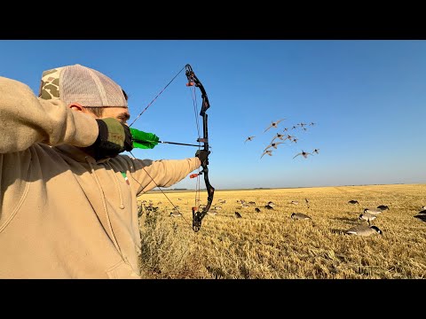 Видео: Охота с луком на летящих уток и гусей! (БЕЗУМНЫЕ ВЫСТРЕЛЫ)