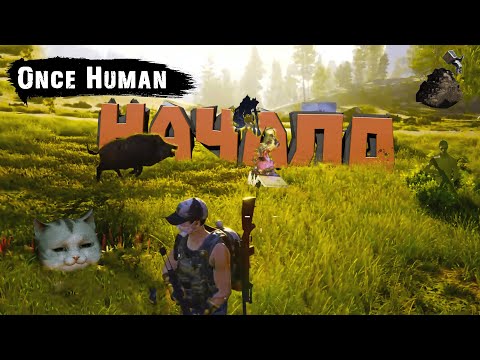 Видео: Начало начал  -  Once Human  / Выпуск #258