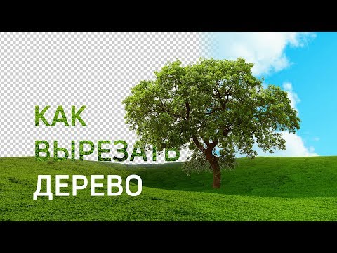 Видео: Фотошоп уроки | Как вырезать дерево в фотошопе (43 выпуск)