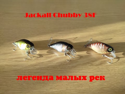 Видео: Распаковка первой в 2022 году посылки от интернет-магазина Spinningline.ru