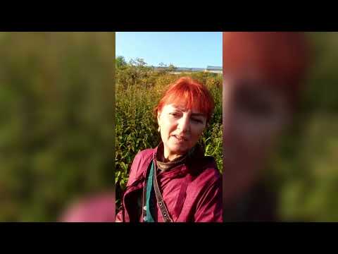 Видео: Обработка крапивного волокна