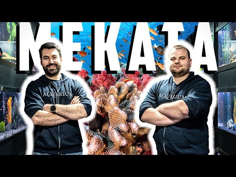 Видео: МАГАЗИН ЗА АКВАРИСТИКА - гр. София, бул. Гоце Делчев, бл. 1Б