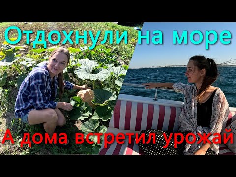 Видео: Уехали за 2000 км от дома, чтобы порыбачить. Вернулись домой а тут урожай попер.