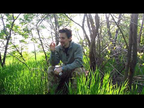 Видео: Воздерживаюсь 5 месяцев. Зачем? | Состояние: депрессия, суеверие, простатит, беспокойство!