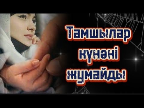 Видео: Тамшылар күнәні жумайды... Болған оқиға желісімен