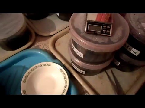 Видео: №81 Табак  Посев семян табака  Норма высева