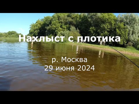 Видео: Нахлыст с плотика 4 | Река Москва | 29 июня 2024