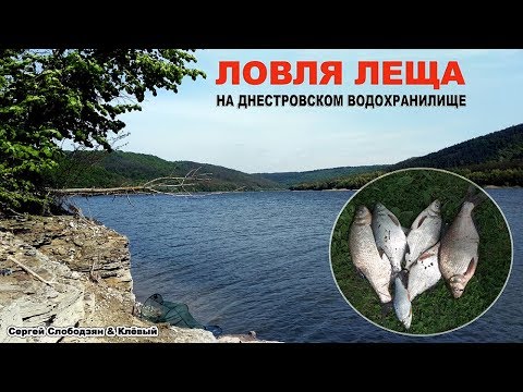 Видео: Ловля леща в Днестровском водохранилище
