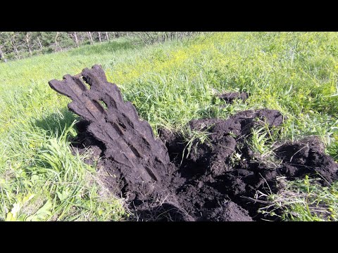 Видео: В лес на поиски заброшек. Металлокоп