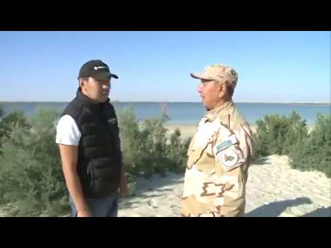 Видео: телеэкспедиция "Атажұрт", Ақтөбе облысы, Ырғыз