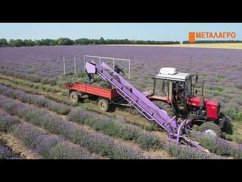 Видео: Косачка за лавандула, Металагро МА 301
