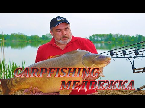Видео: Спортивная Рыбалка 2020 Ловля Карпа Медвежка Обзор Оснастки Турнир Carpfishing Карпфишинг