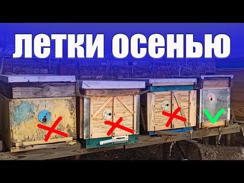 Видео: Летки в ульях осенью. Какой леток нужно закрыть осенью. Вентиляция зимой через леток