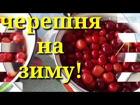 Видео: ЧЕРЕШНЯ МАРИНОВАННАЯ со специями и ЧЕРЕШНЯ с МЁДОМ.Сохраняем витамины!