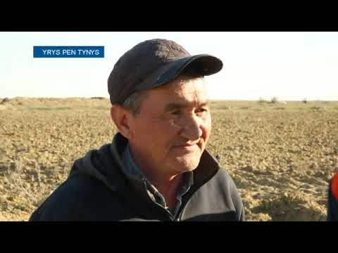 Видео: Ырыс пен тыныс: Тілімдей жерге береке кіргізген дихан
