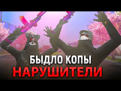 Видео: АДМИН СПАЛИЛ КОПОВ НАРУШИТЕЛЕЙ в GTA 5 RP на Majestic RP