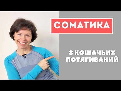 Видео: #2 Соматика Томаса Ханны. 8 кошачьих потягиваний