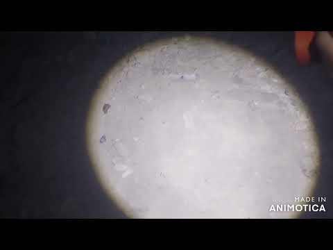 Видео: лазаем по заброшкам и в конце бункер