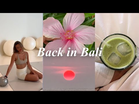 Видео: дневники жизни в одиночестве на бали..