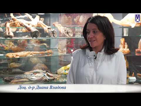 Видео: Ветеринарномедицински факултет презентационен клип