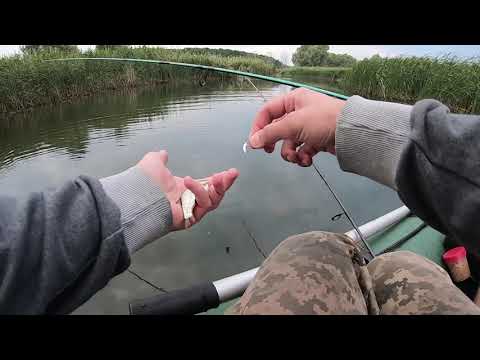 Видео: Спиннинг! Рыбалка с лодки. Попла-поппер. Как ловить. Красноперка. окунь. травянское водохранилище.