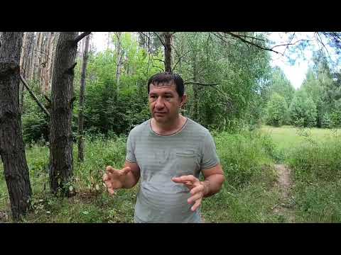 Видео: Заложник от слова ЗАЛОЖИЛ. Он учил меня честности ,смелости