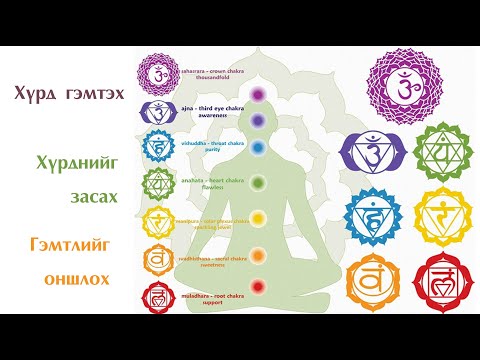 Видео: №18 》Хүрдийг гэмтээх зүйлс. Mon light суваг