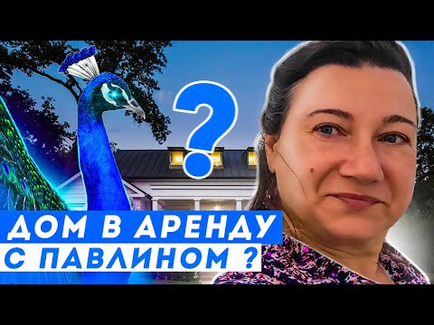 Видео: 🦚🗽🏠ДОМ В АРЕНДУ 💲💲2500 В МЕСЯЦ 🍑С ПЕРСИКАМИ И ПАВЛИНОМ ВПРИДАЧУ🗽🦚🦚🦚